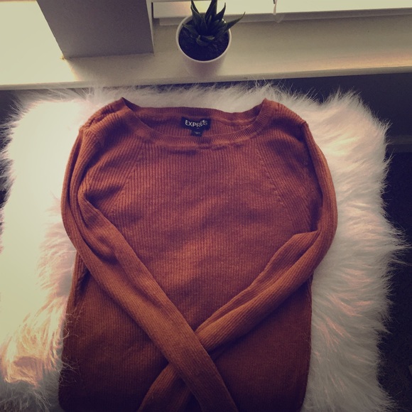 Dark Mustard Yellow tight fit Express sweater. - Picture 1 of 5